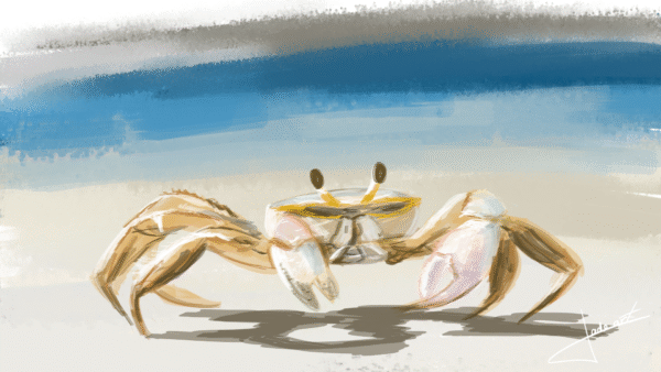 Illustrations Carte postale